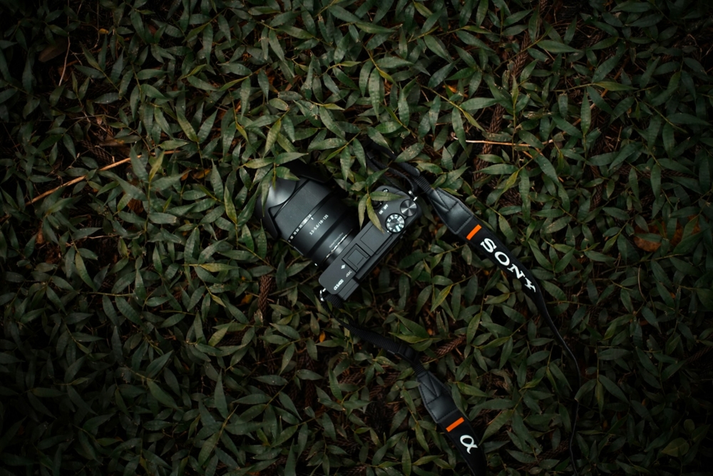 Sony A6400 Review - Photography Talk