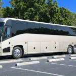zoom coach hire Profile Picture