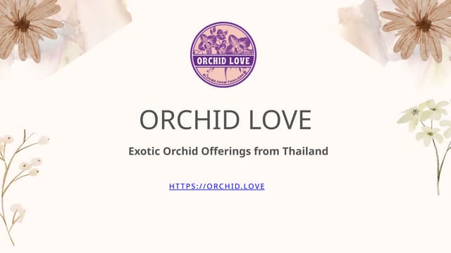 Orchid Love – Exotic Orchid Offerings from Thailand.pptx