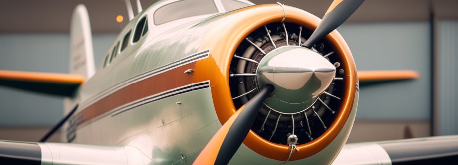 AviaCost LLC Cover Image