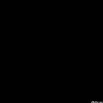 Seo Expert Profile Picture