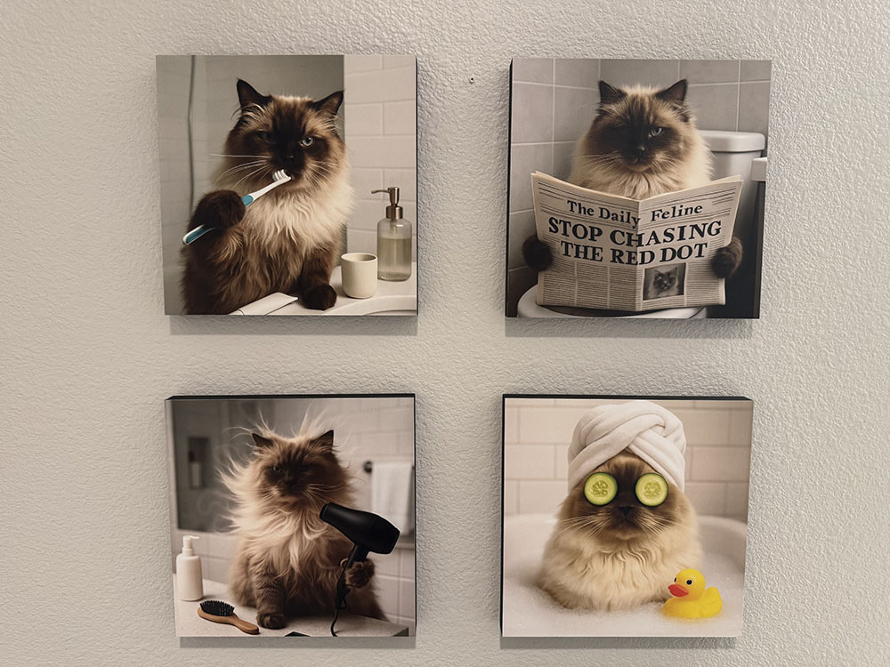Mixtiles Pet Portraits Review: Fun Wall Art for Pet Lovers