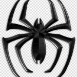 spder123 Profile Picture