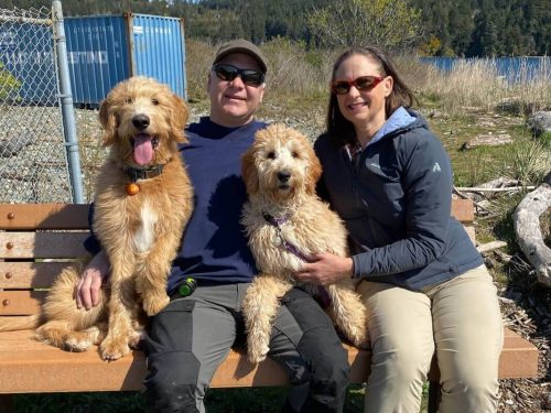 Responsible Labradoodle Breeding Services BC | It’s a Doodle K9 Service