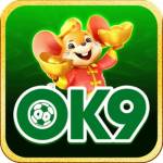 OK9 CASINO SITE OFICIAL DE JOGOS Profile Picture