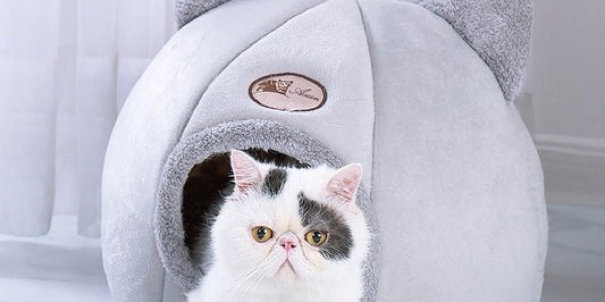 Easy Ways to Shop Cat Supplies While Saving Money