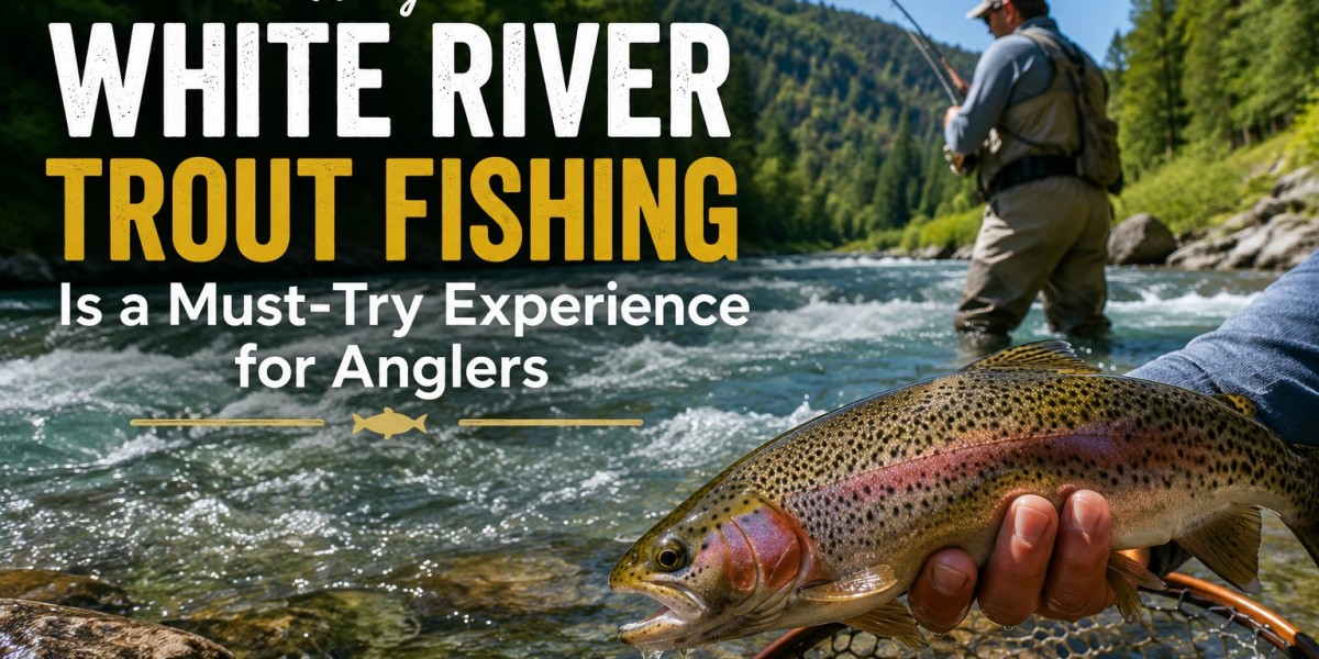 Why White River Trout Fishing Is a Must-Try Experience for Anglers