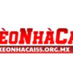 Keonhacai55 org mx Profile Picture