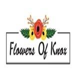 Flowers Of Knox Profile Picture