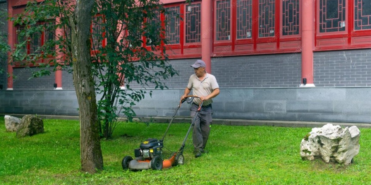 How Does Professional Lawn Care Help Residential and Commercial Properties Stay Attractive Year-Round?