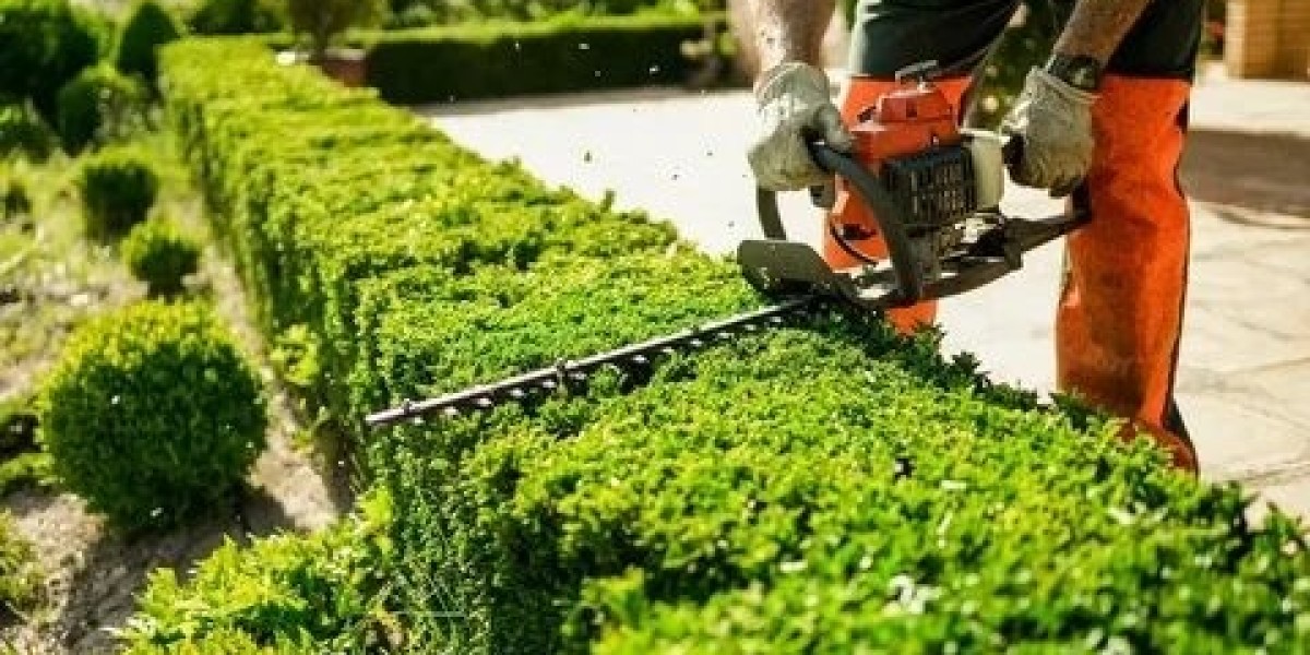 The Ultimate Guide to Lawn Care & Lawn Maintenance for a Healthy, Beautiful Lawn