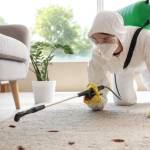 Same Day Pest Control Profile Picture