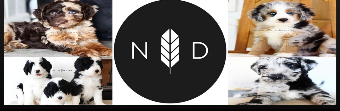 Native Doodles Cover Image