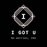 IGotu Corp Profile Picture