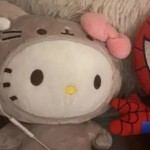 annanelson96 Profile Picture