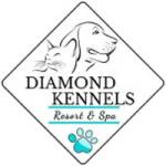 Diamond Kennels Profile Picture