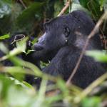 byandala timothy Profile Picture