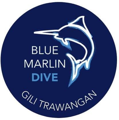 Blue Marlin Dive Profile Picture