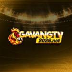 Gavang tv Profile Picture