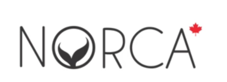 Norca Swim Cover Image