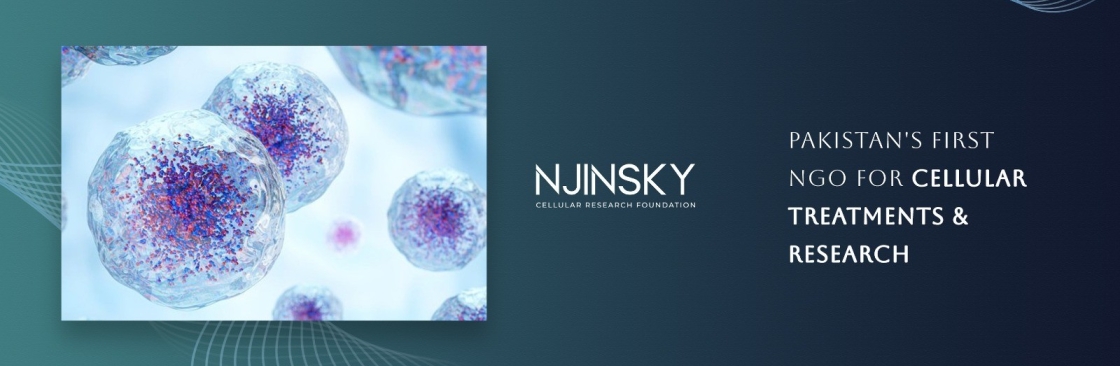 Njinsky Foundation Cover Image