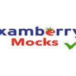 Examberry Mocks Profile Picture