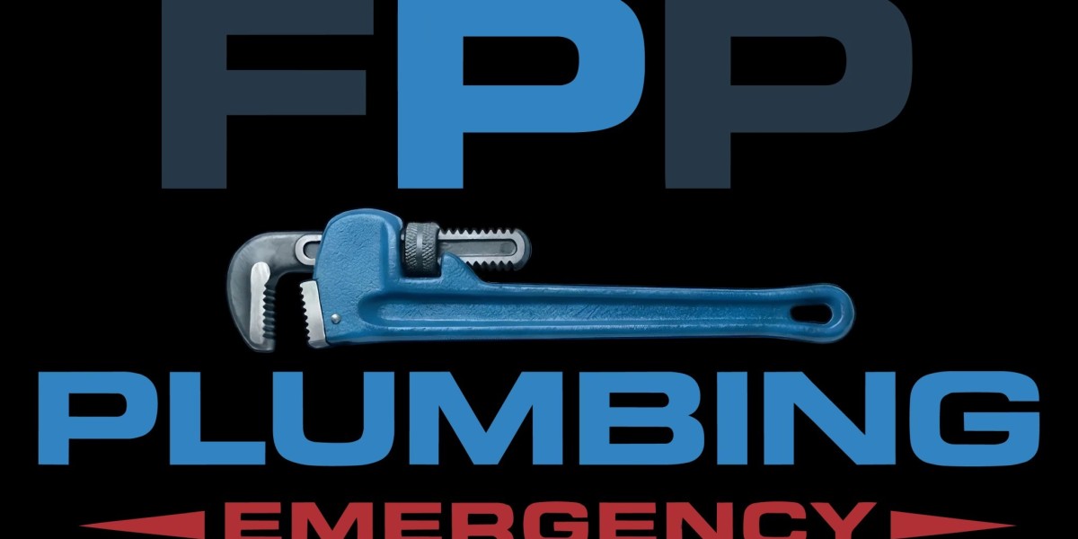 What Makes a Professional Plumber Different From DIY Solutions