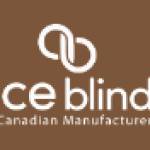 Ace Blinds Profile Picture