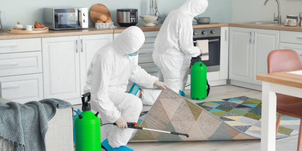 Termite Proofing Service in Lahore | Complete Protection for Homes & Commercial Properties