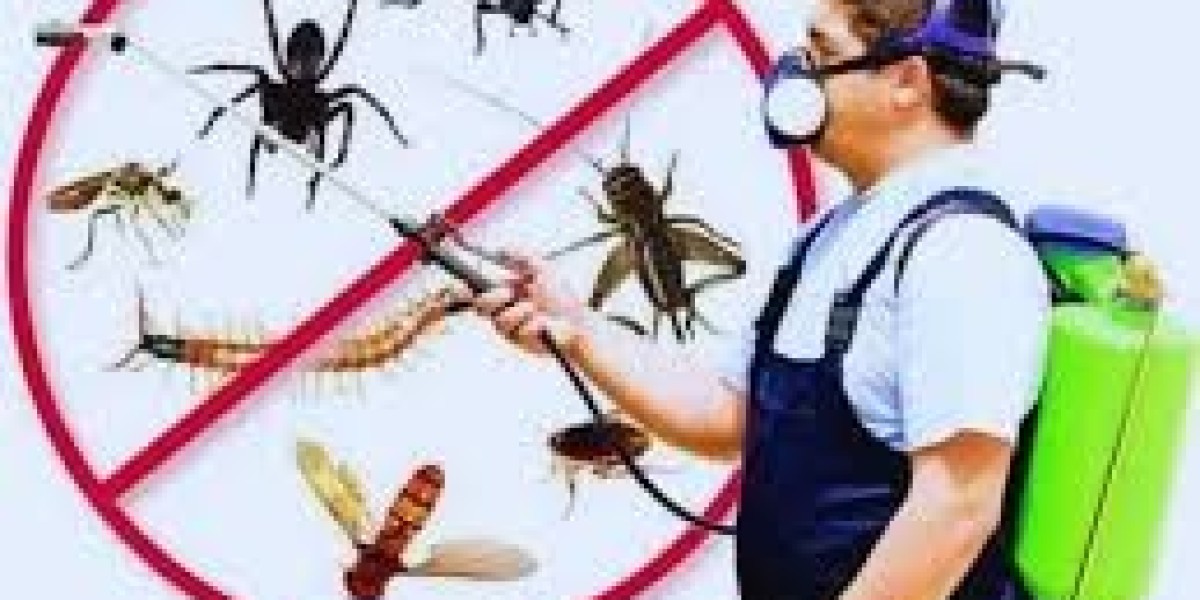 Termite Control Treatment Services Near Me: Safe Treatment for Lasting Results