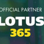 Lotus 365 Fun Profile Picture