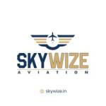 Skywize Aviation Profile Picture