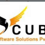Vcube  Software Solutions Profile Picture