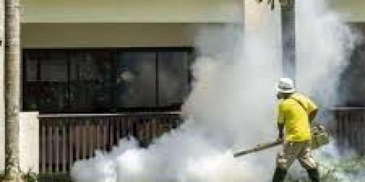 Mosquito Killer Spray Services in Lahore: Powerful Pest Solutions for Healthy Spaces