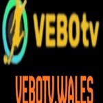 VEBOTV Profile Picture