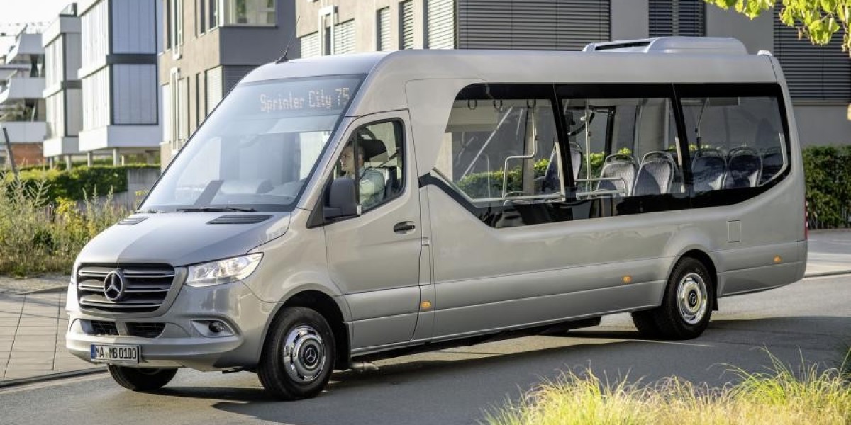 What to Know About Mini Coach for Family Outings