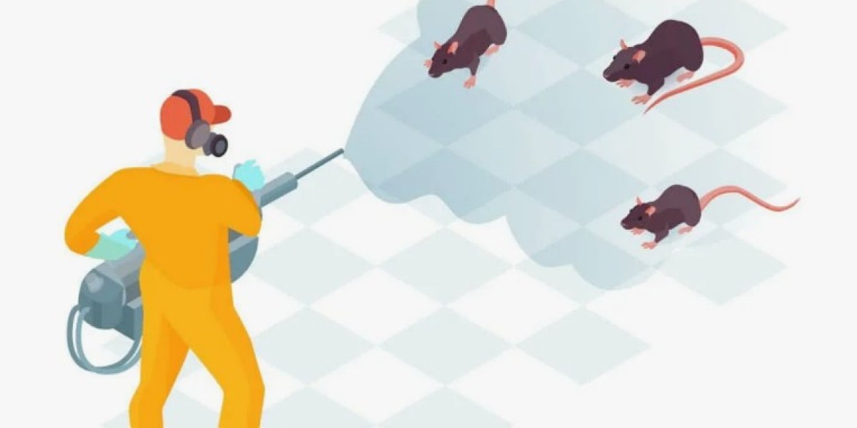 Rat Killer Spray Services in Lahore: Premium Rodent Treatment That Works