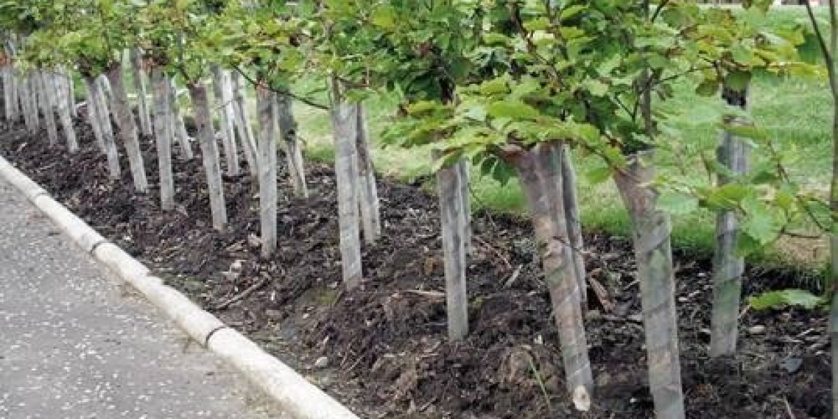 Professional Landscaping Wahroonga for Beautiful Outdoor Spaces
