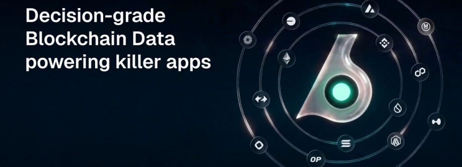 Birdeye Data Cover Image