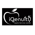 Ingenuity service Profile Picture