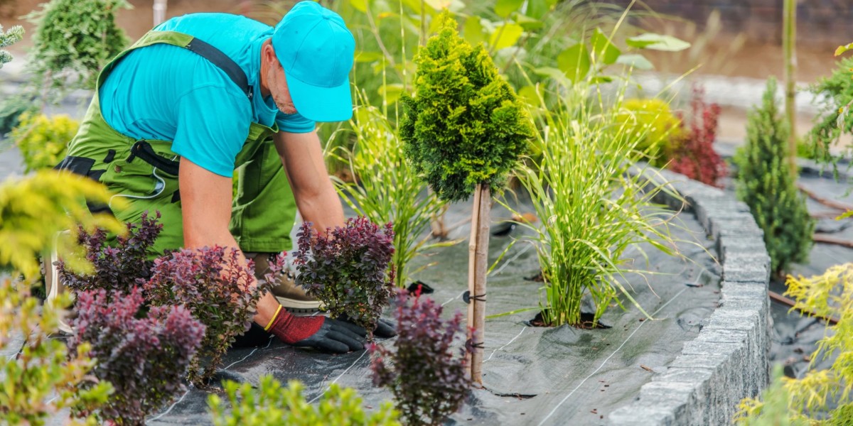 Why is Professional Landscaping Services in Spartanburg, SC, Essential for Your Home?