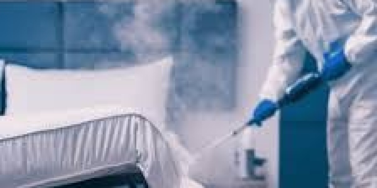 Bed Bug Killer in Lahore: Advanced Protection Against Bed Bug Infestations
