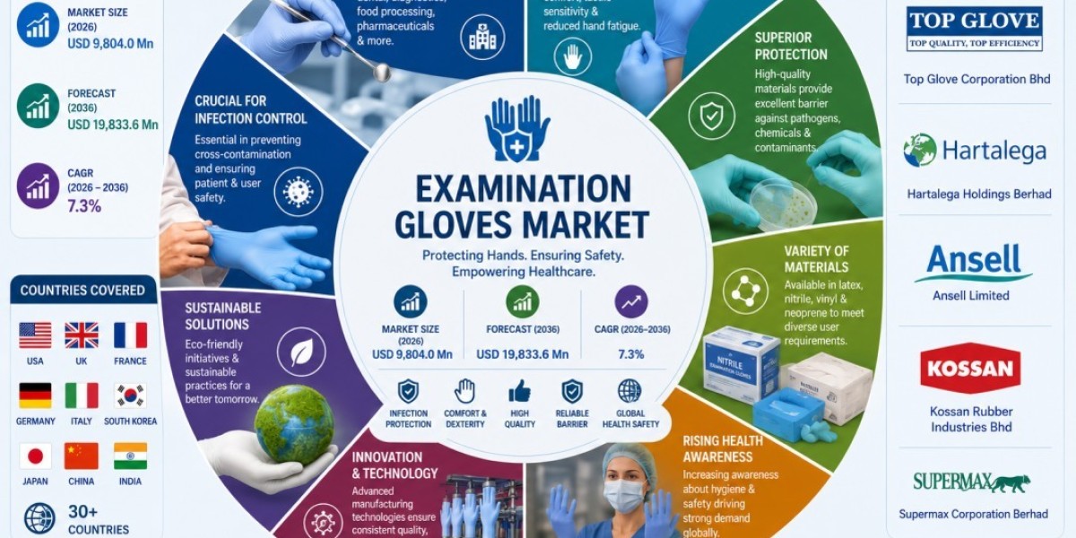 Examination Gloves Market Set to Expand Through 2036 on Increasing Adoption Across Non-Medical Sectors