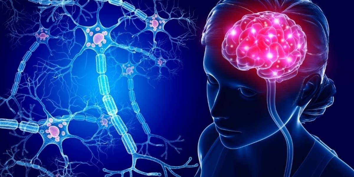 Who can take Cogniflo Brain Health Supplement?