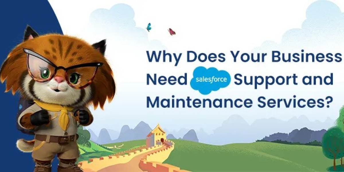 Why Does Your Business Need Salesforce Support and Maintenance Services?